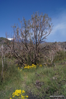 Val Calanna